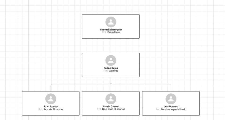 organigrama empresarial